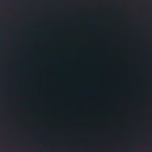 Meet your Posher, Lilly